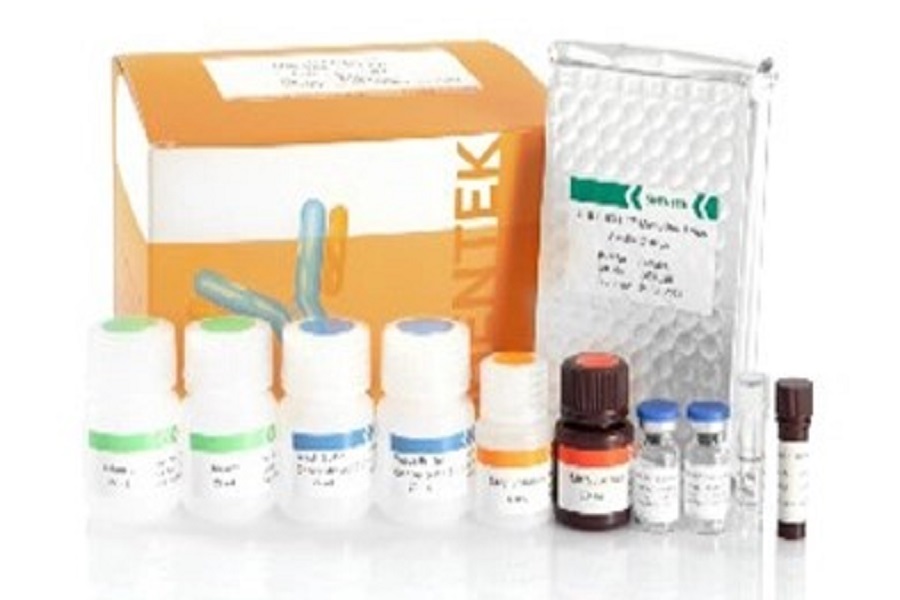 잔류 숙주 세포 단백질 분석의 중요성과 방법