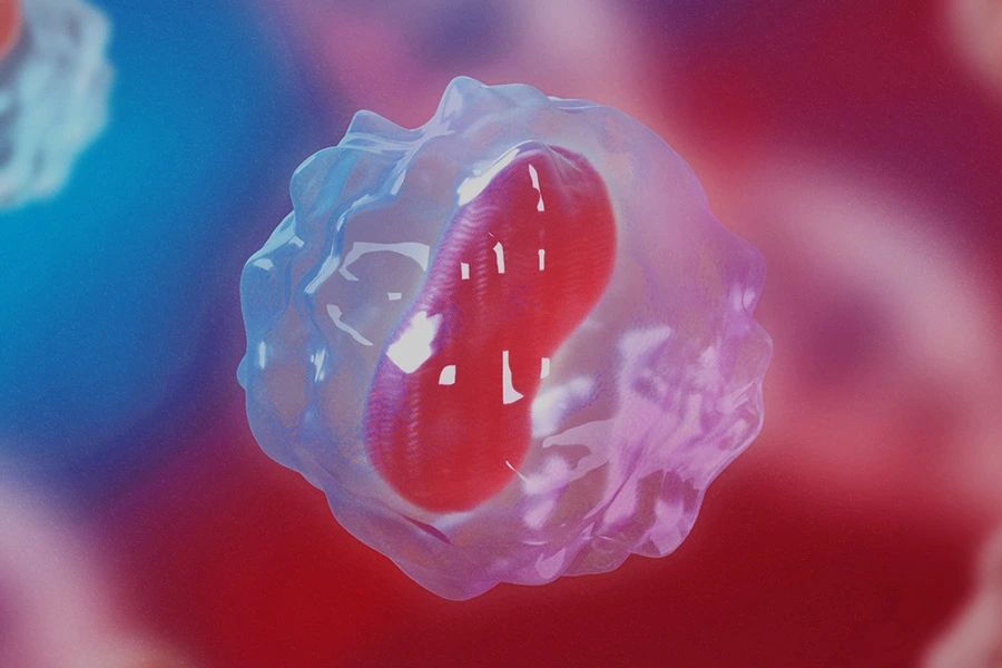 세포 치료 제품