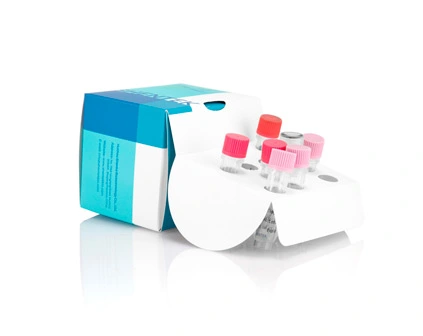 잔여 PG13 DNA 정량 키트