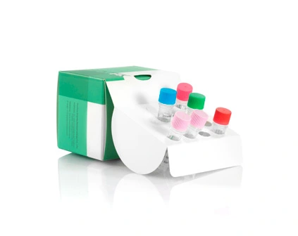 REO-3 긍정적 인 제어