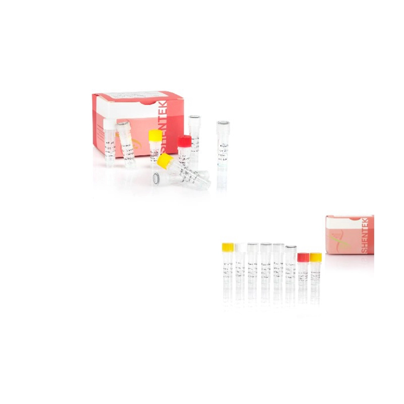 복제-유능한 바이러스 정량