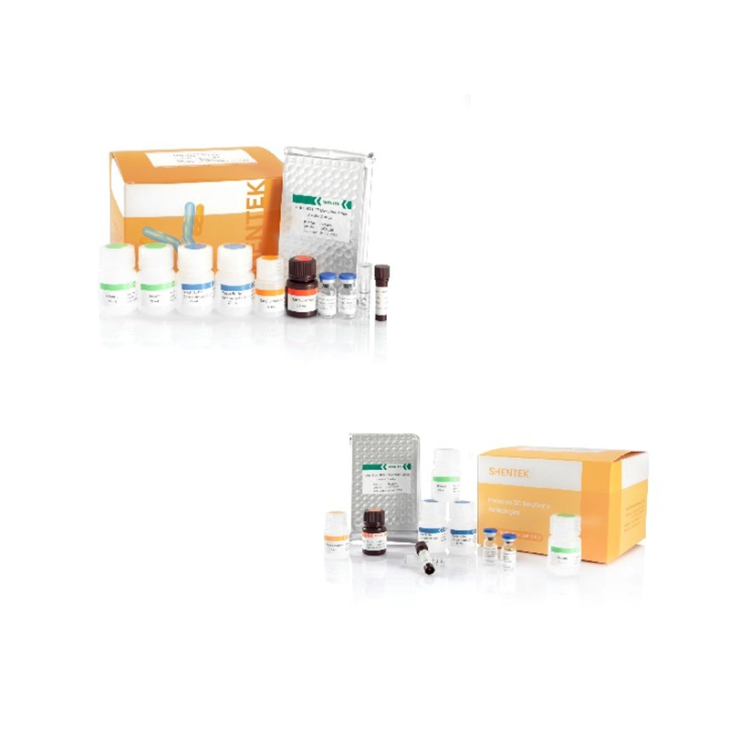 잔여 숙주 세포 단백질 정량화