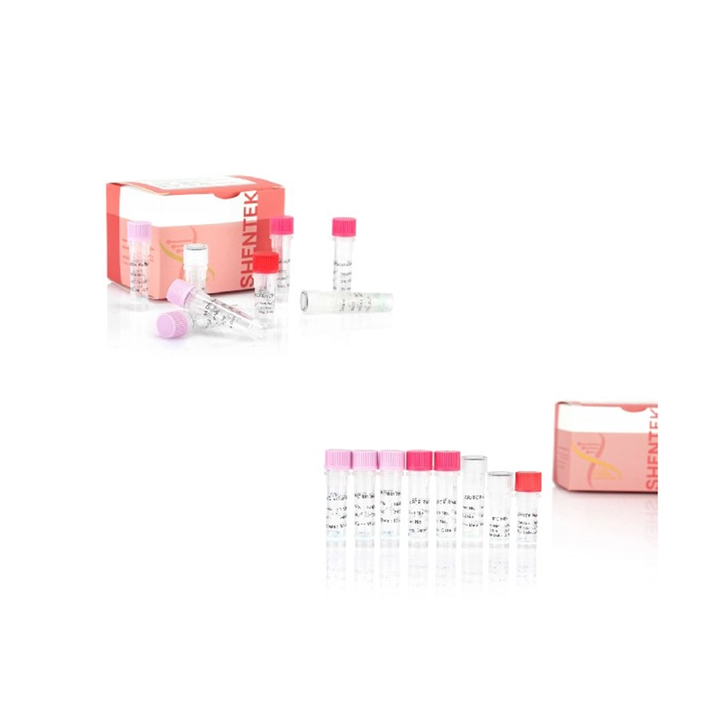 목표 시퀀스 QC 키트