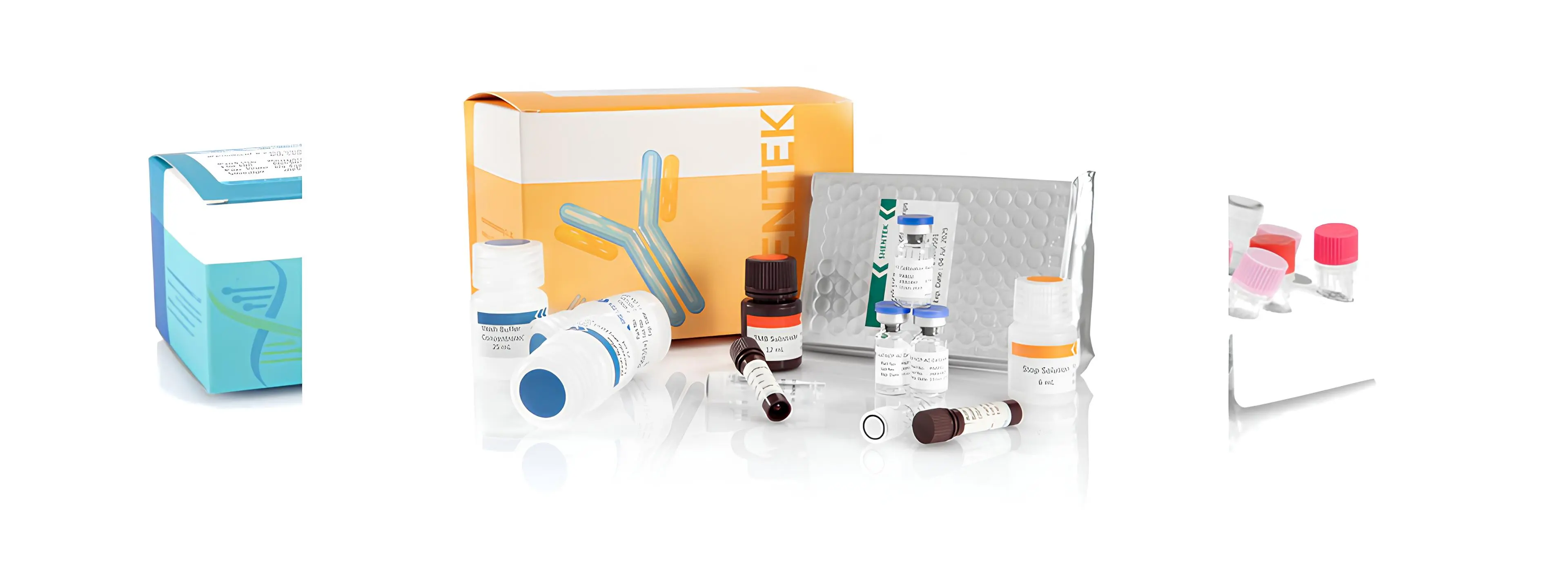 프로세스 불순물 분석