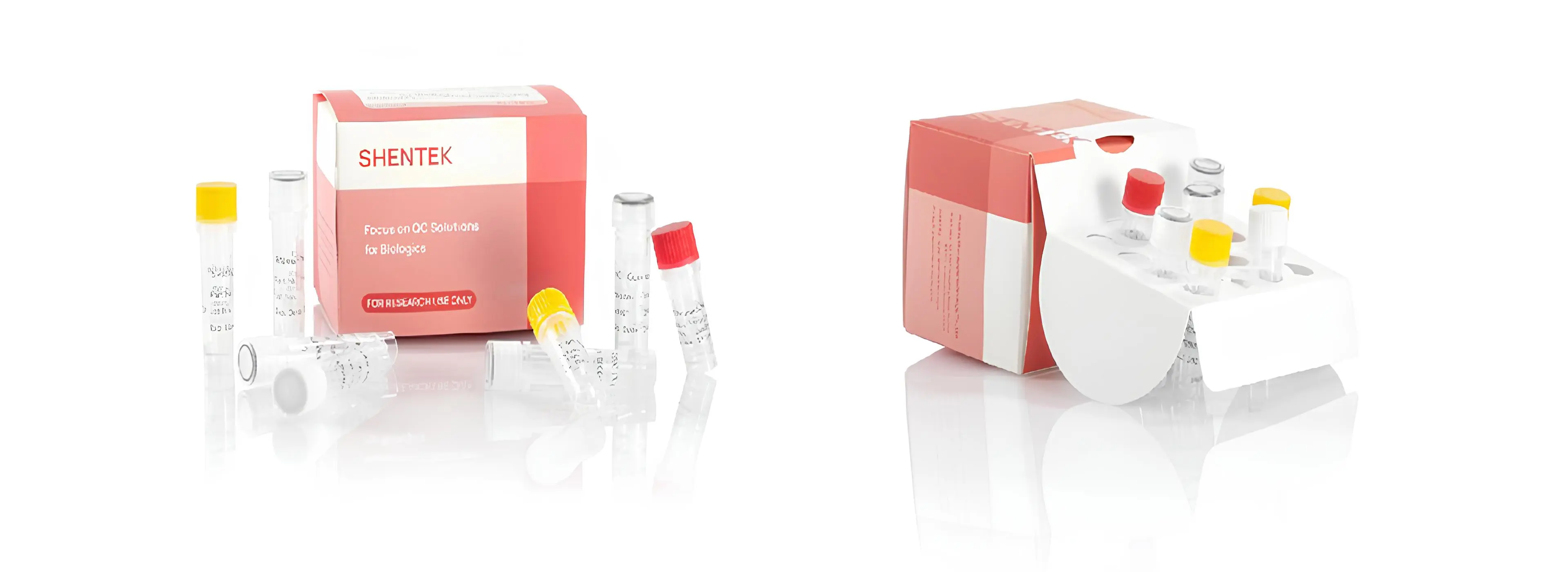 복제-유능한 바이러스 정량