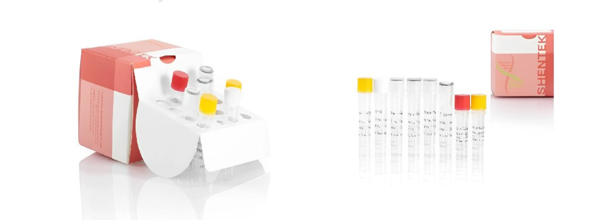 목표 시퀀스 QC 키트