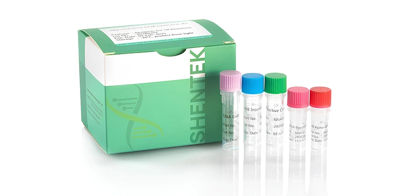 고급 에이전트 테스트