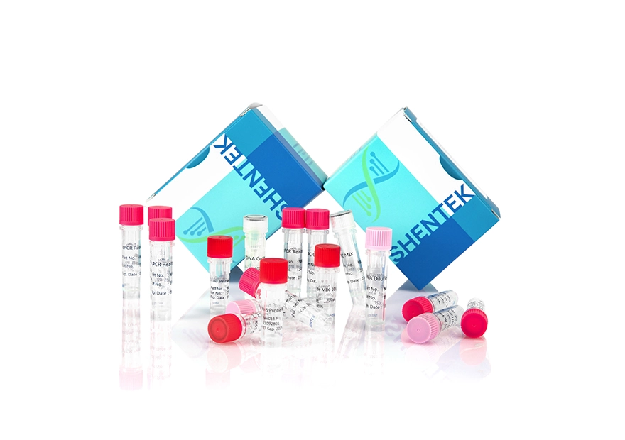 잔류 대장균 DNA 크기 분석 키트 (2G)