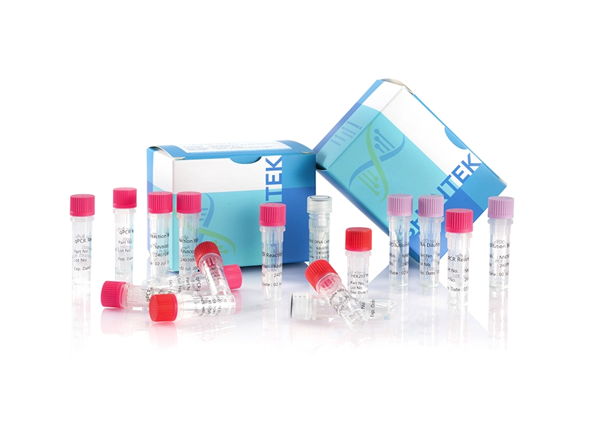 잔여 HEK293 DNA 크기 분석 키트