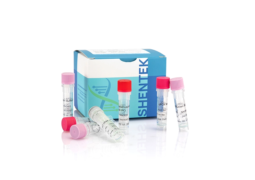 잔여 CHO DNA 정량 키트 (2G)