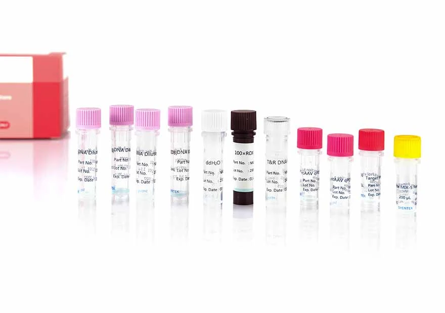 RcAAV-5/N 수량 키트