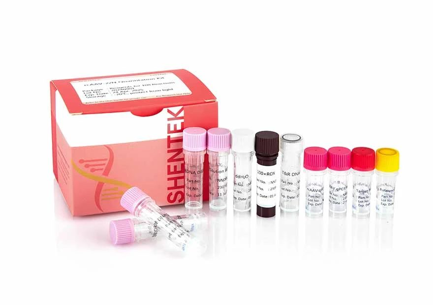 RcAAV-2/N 수량 키트