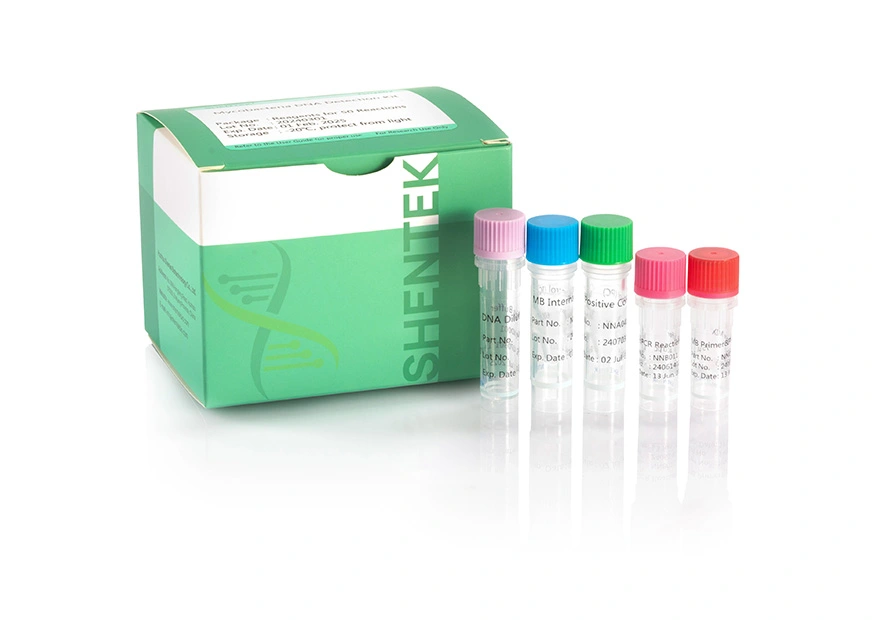 Mycobacteria DNA 검출 키트