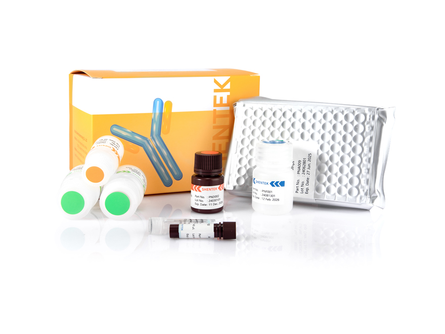 CHO PLBL-2 HCP ELISA 키트