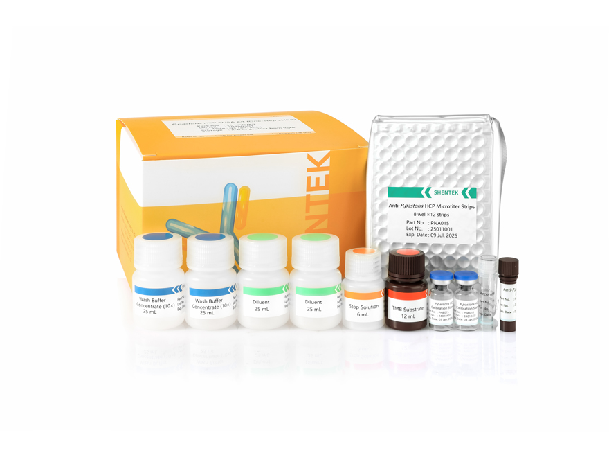 P.pastoris HCP ELISA 키트 (1 단계 ELISA)