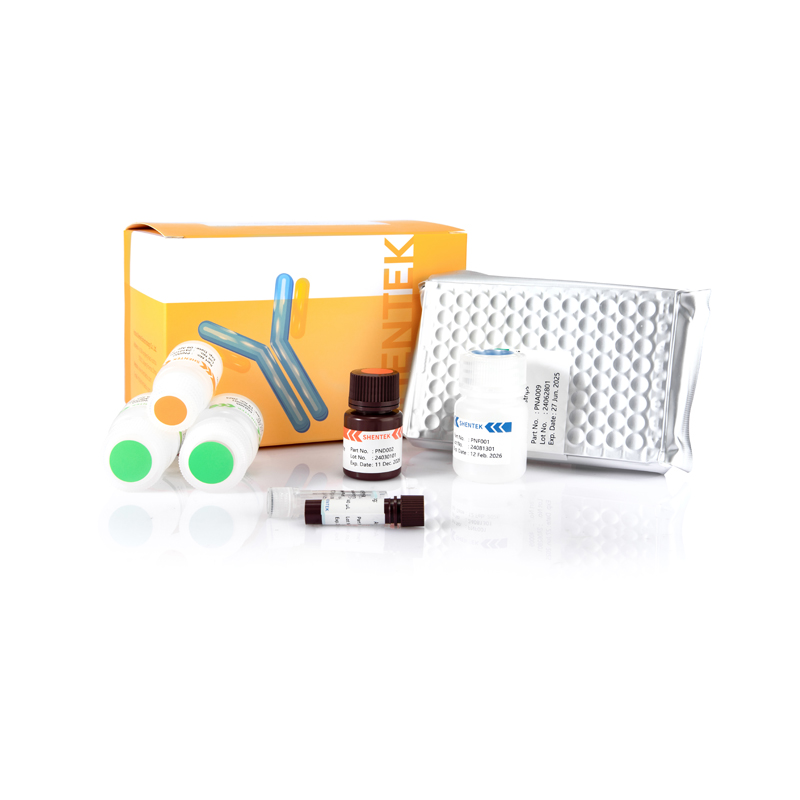 글리세롤 정량화 색채 키트