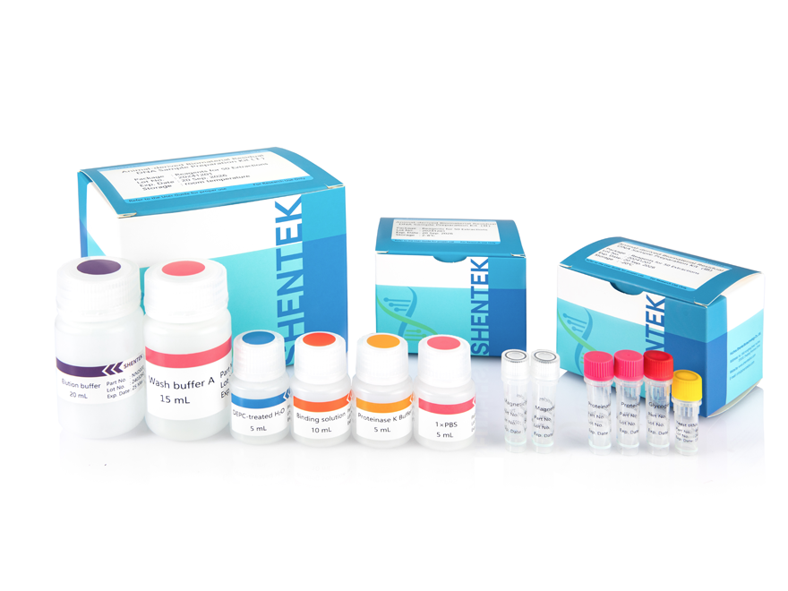 동물 기원 잔류 DNA 샘플 준비 키트