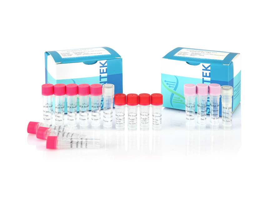 잔여 BHK DNA 크기 분석 키트