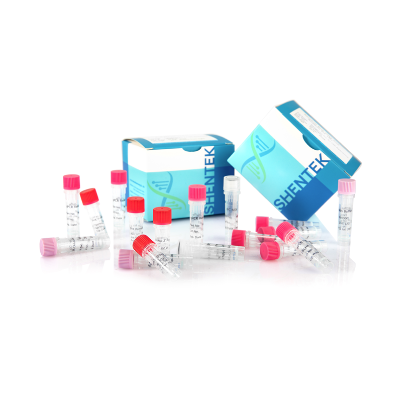 잔여 BHK DNA 크기 분석 키트