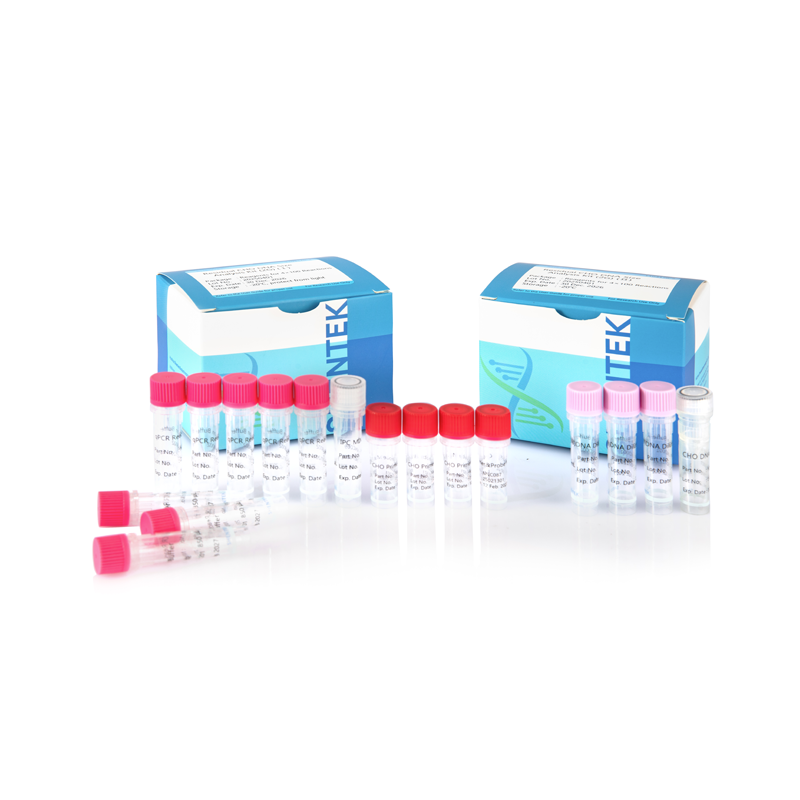 잔여 CHO DNA 크기 분석 키트 (2G)