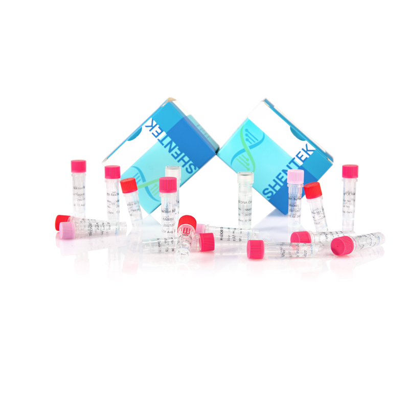 잔여 CHO DNA 크기 분석 키트 (2G)