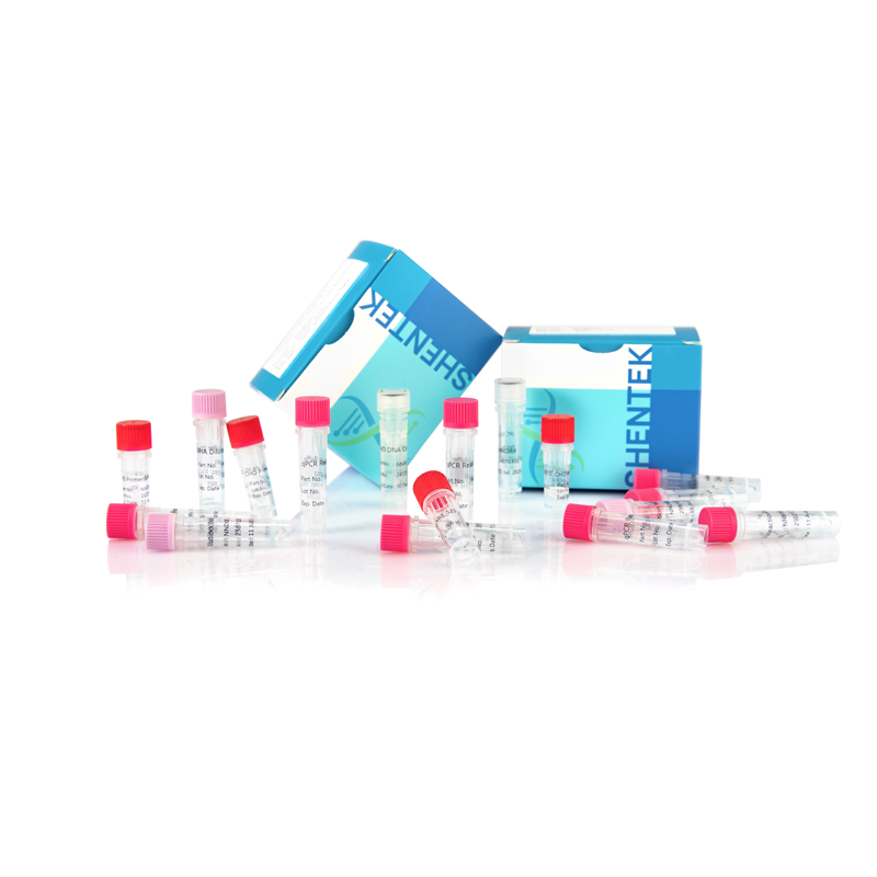 잔여 CHO DNA 크기 분석 키트 (2G)