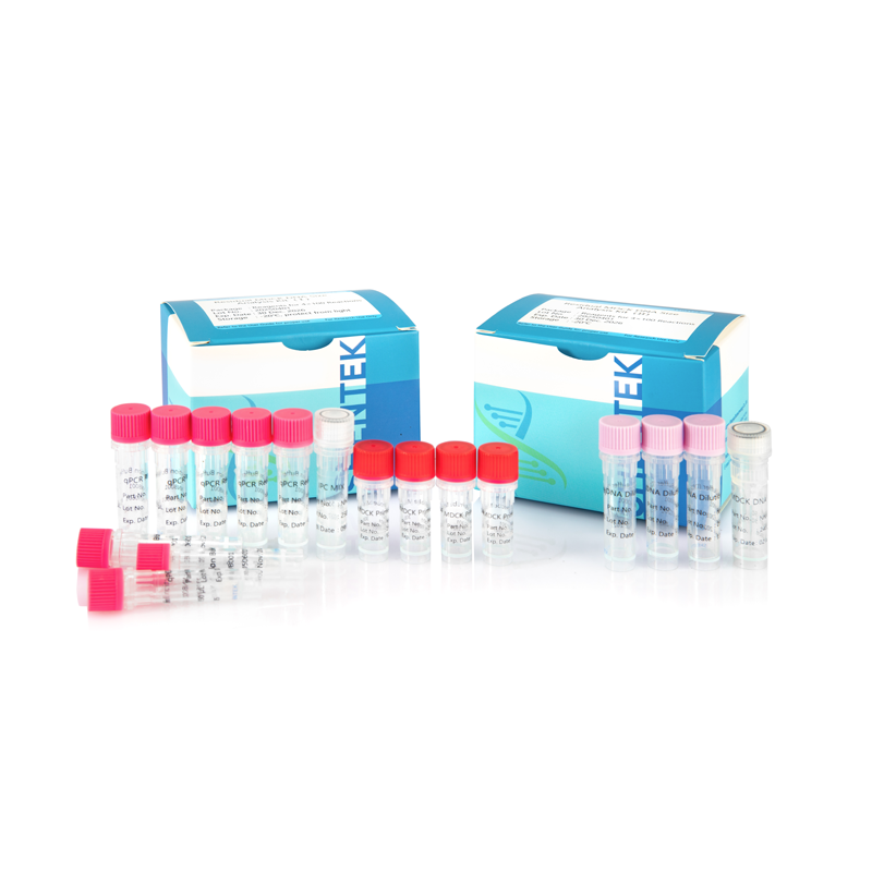 잔여 MDCK DNA 크기 분석 키트