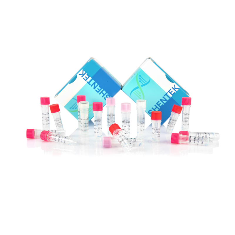 잔여 MDCK DNA 크기 분석 키트