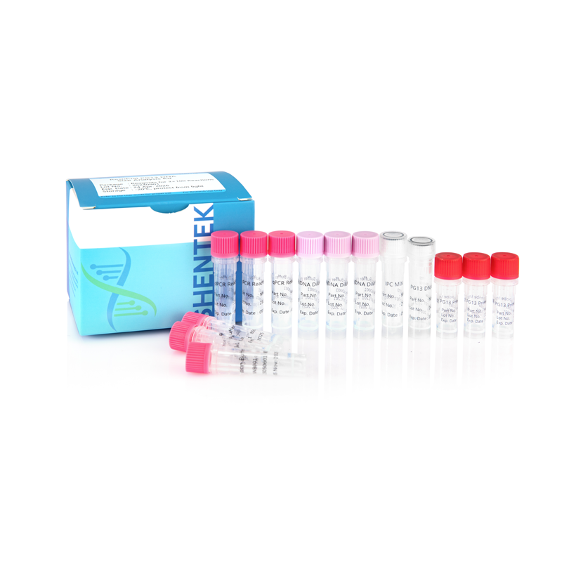 잔여 PG13 DNA 크기 분석 키트