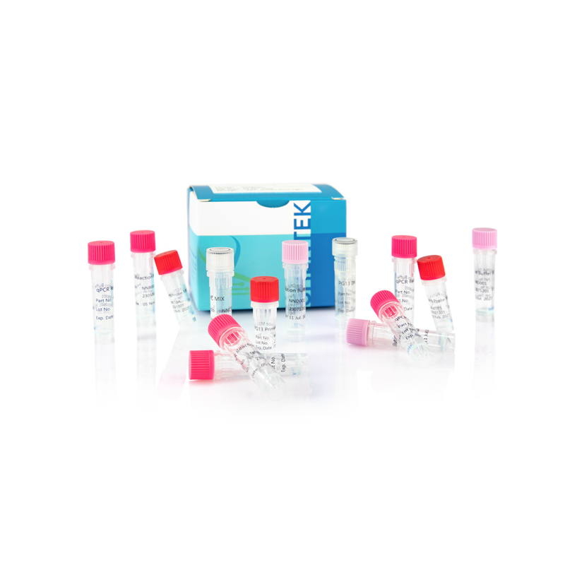 잔여 PG13 DNA 크기 분석 키트