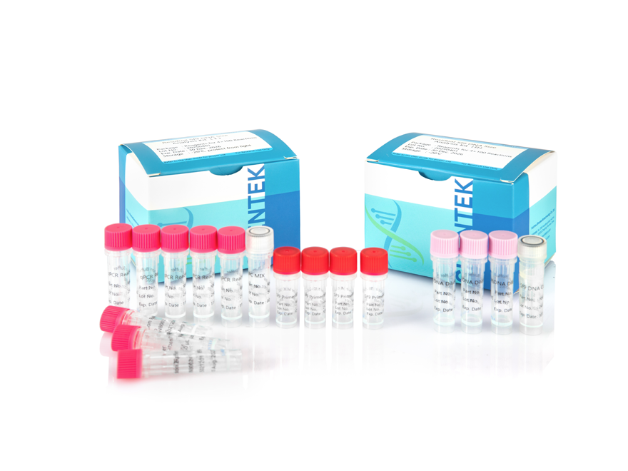 잔여 Sf9 잔류 DNA 크기 분석 키트