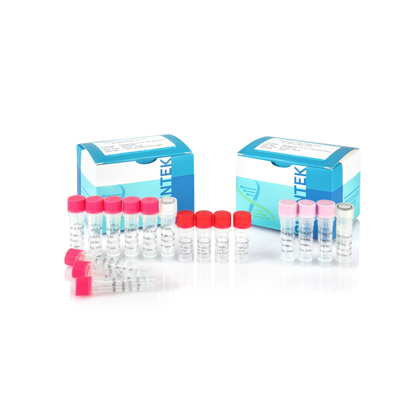 잔여 Sf9 잔류 DNA 크기 분석 키트