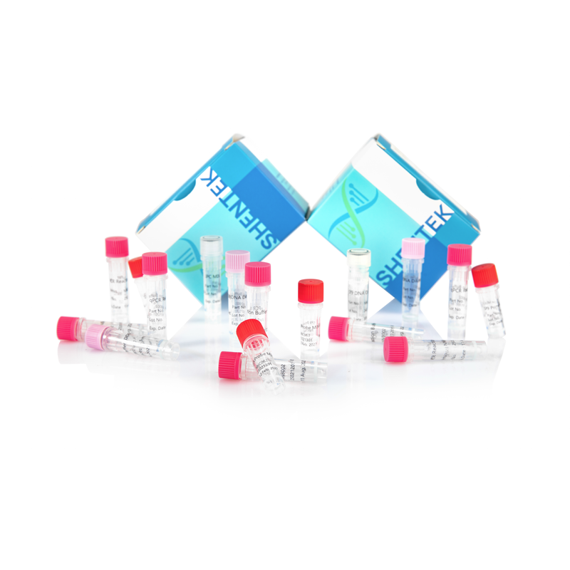 잔여 Sf9 잔류 DNA 크기 분석 키트