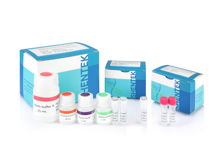 백신을 위한 잔여 숙주 세포 DNA 샘플 준비 키트