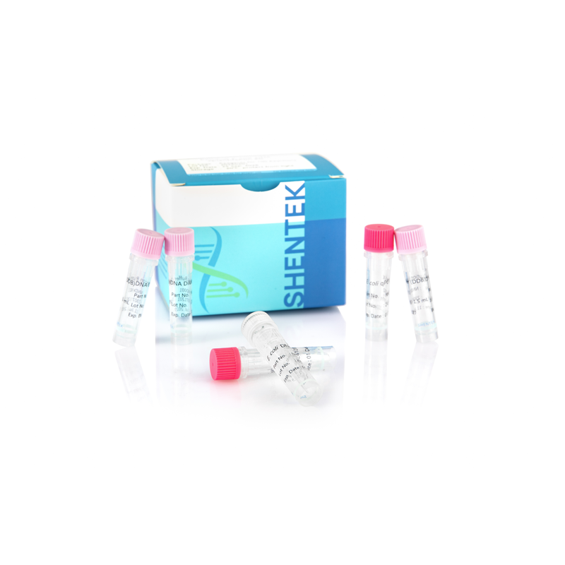 잔류 E. coli DNA 정량화 키트