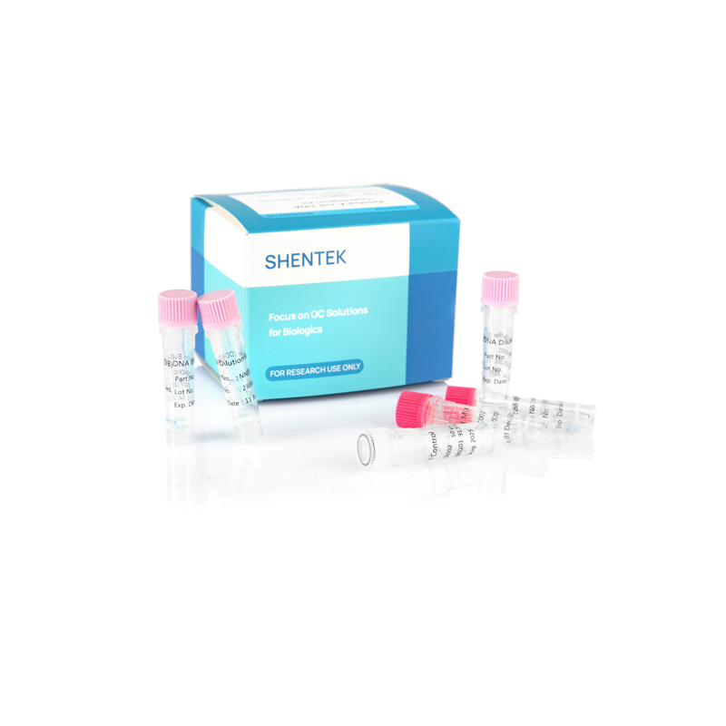 잔류 E. coli DNA 정량화 키트