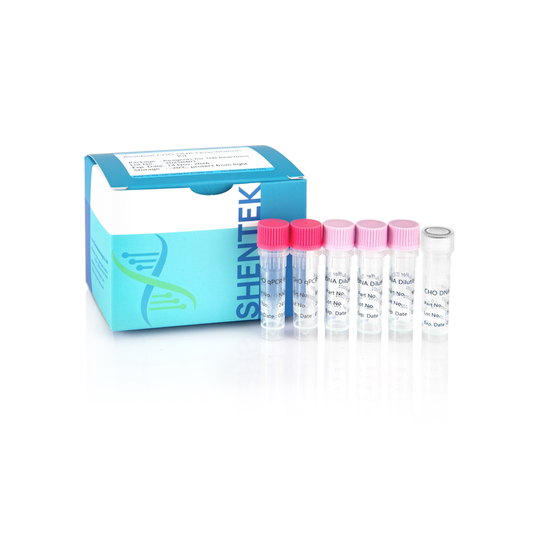 잔여 CHO DNA 정량화 키트