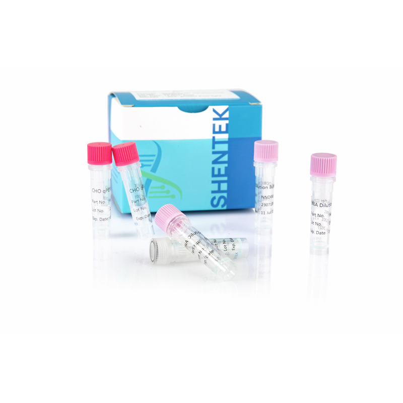 잔여 CHO DNA 정량화 키트