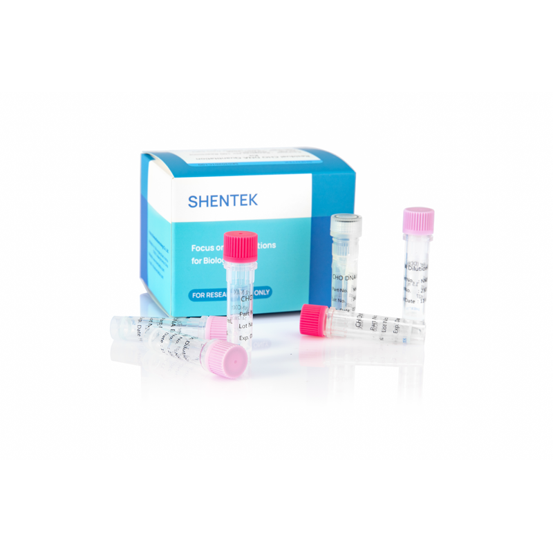 잔여 CHO DNA 정량화 키트